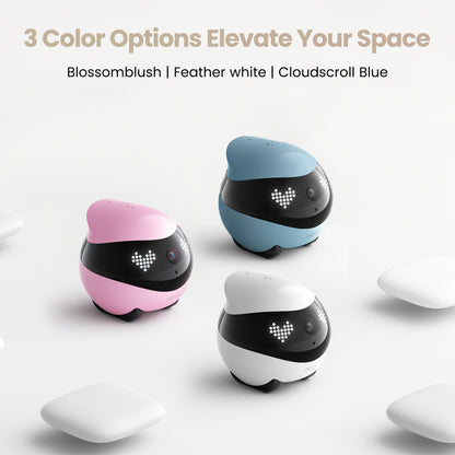 Enabot EBO Air 2 Smart Companion Robot (Member Price)
