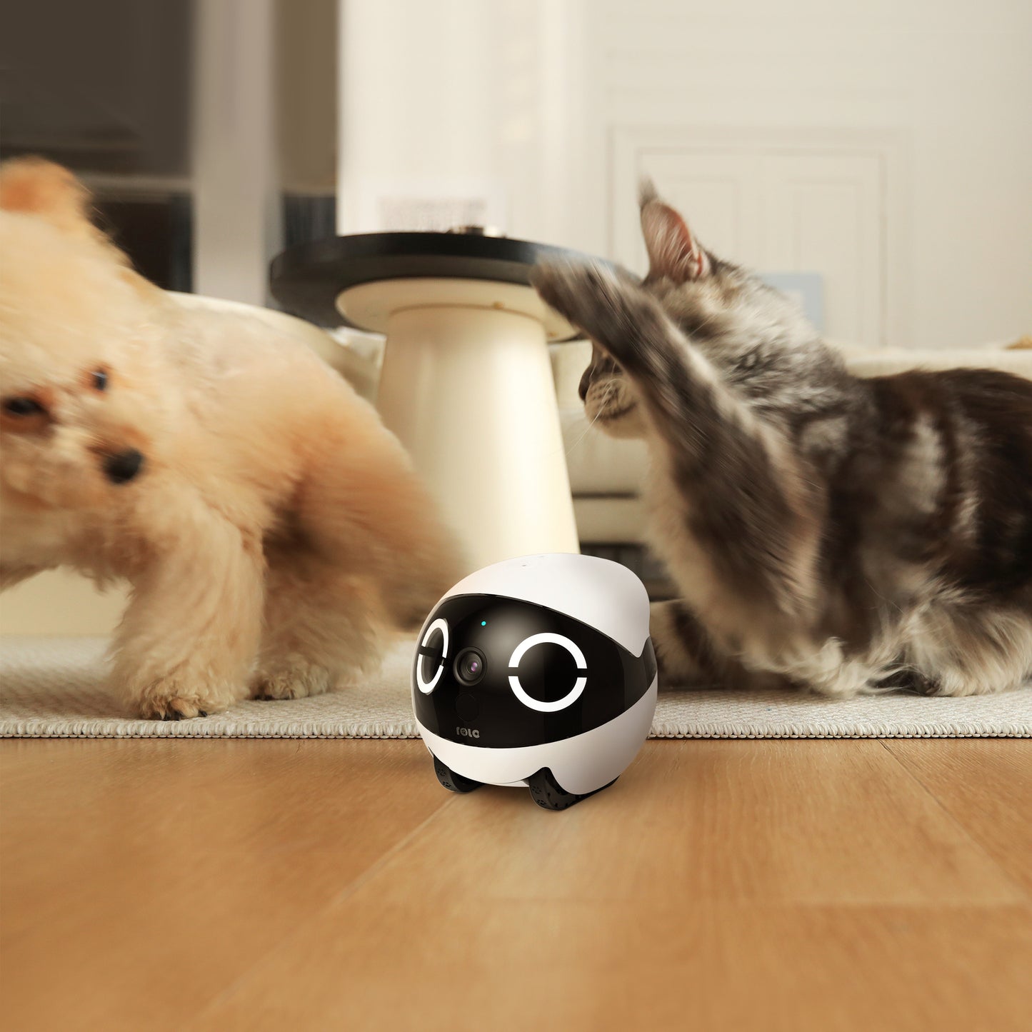 Enabot ROLA Mini Companion Robot