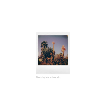Polaroid GO FILM - Double Pack