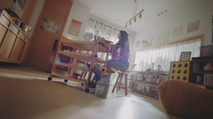 Enabot EBO Air 2 Plus Smart Companion Robot