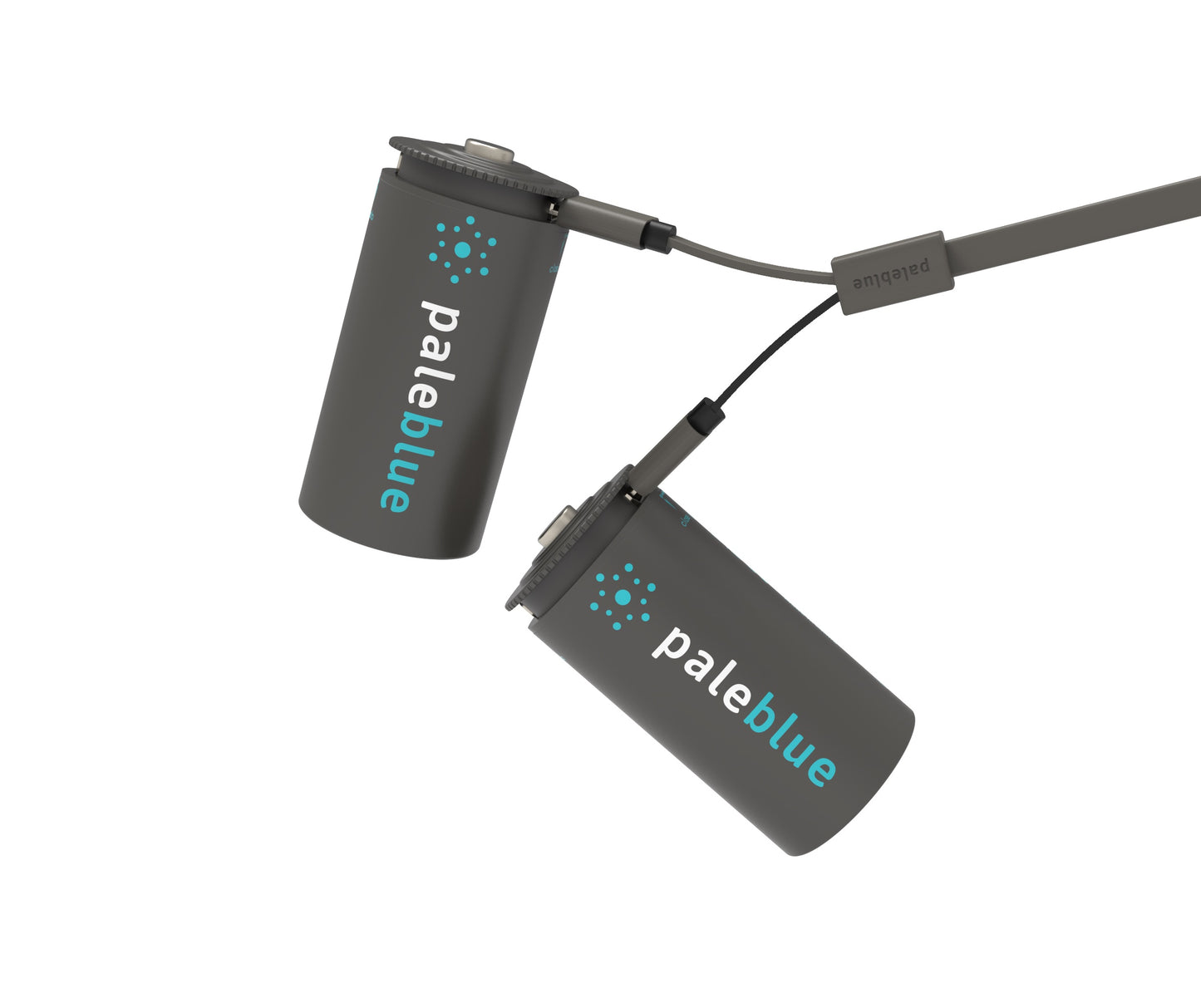 Pale Blue C USB Rechargeable Smart Batteries