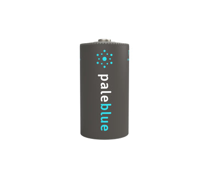 Pale Blue C USB Rechargeable Smart Batteries