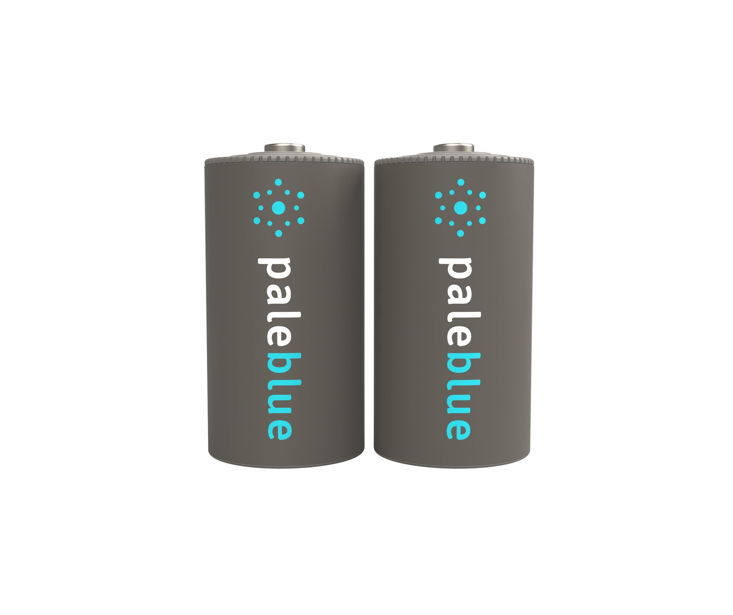 Pale Blue C USB Rechargeable Smart Batteries