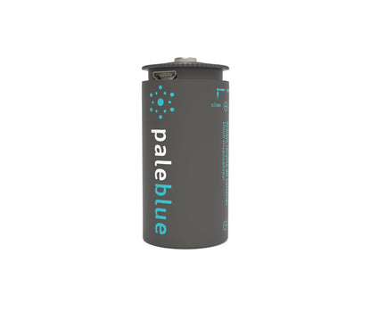 Pale Blue C USB Rechargeable Smart Batteries