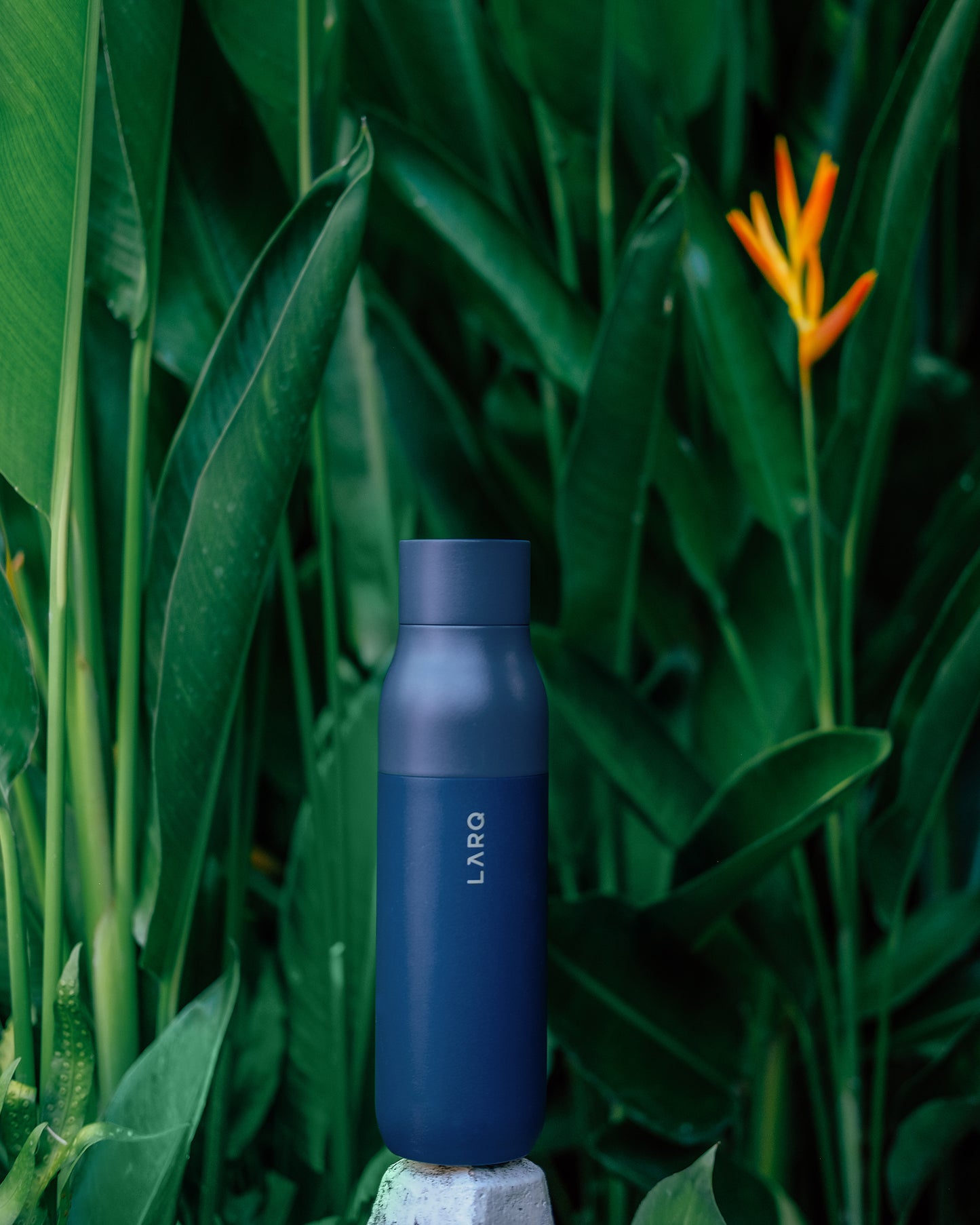 LARQ Bottle Personalized Engraving