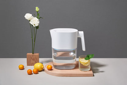 LARQ Pitcher PureVis™ with Advanced Filter