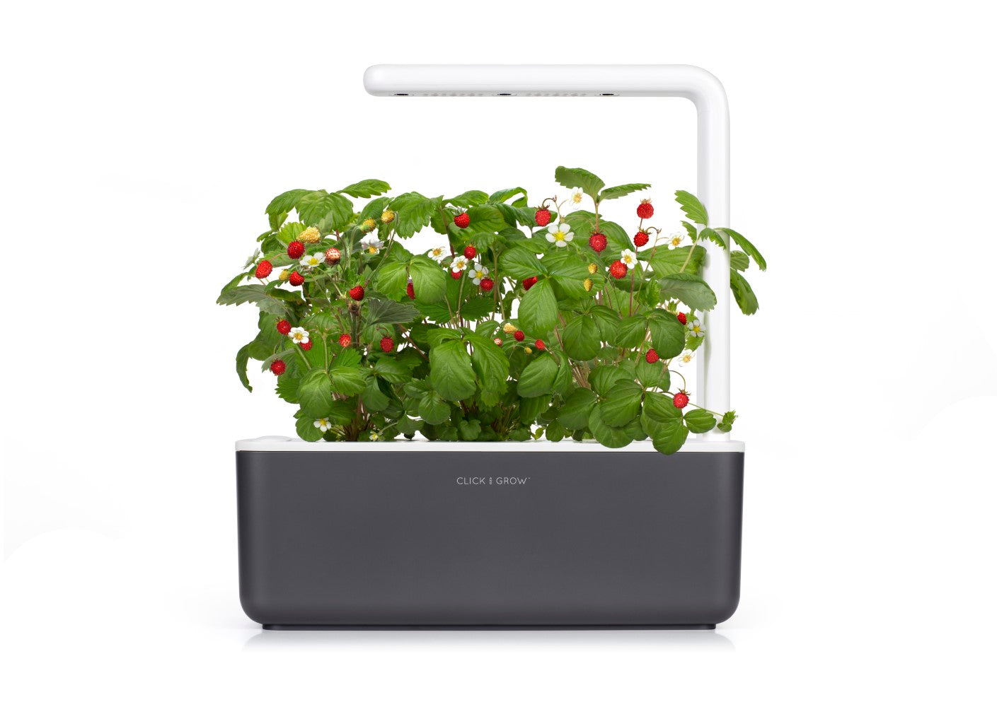 Click & Grow Smart Garden 3