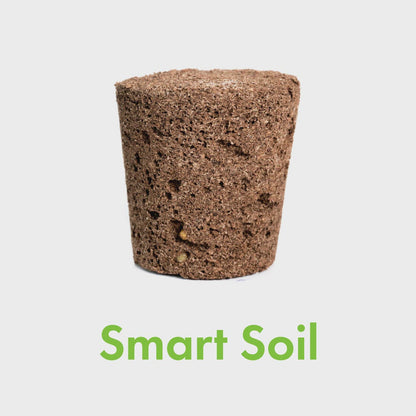 Click & Grow Smart Garden 9
